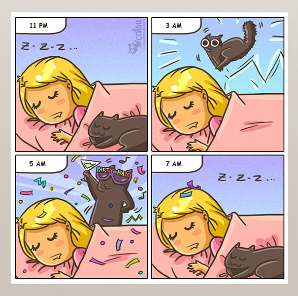 funny-comics-life-with-cats-illustrations-10