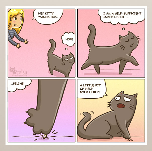 funny-comics-life-with-cats-illustrations-8
