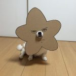 funny-cosplay-dog-costume-cardboard-cutouts-10