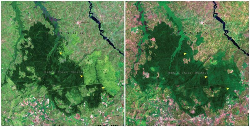 nasa-pictures-climate-changes-earth-appearance-4