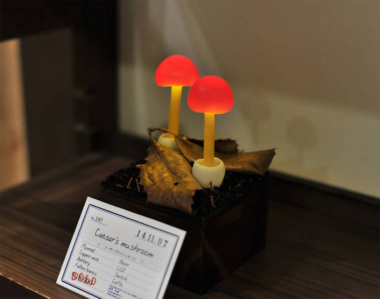 beautiful-mushroom-lamps-home-designs-10