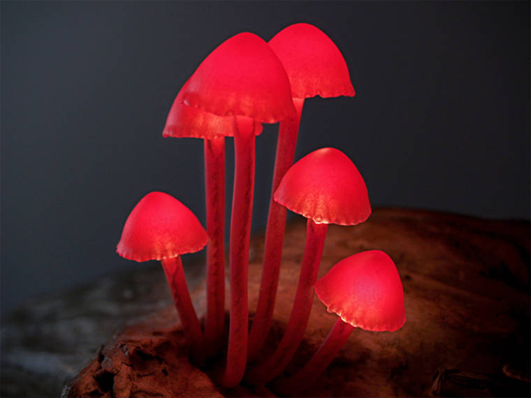 beautiful-mushroom-lamps-home-designs-5