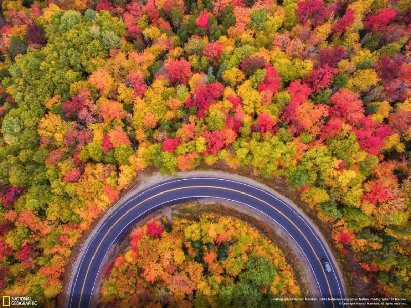 best-top-photos-2016-national-geographic-nature-photographer-of-the-year-finalists-14