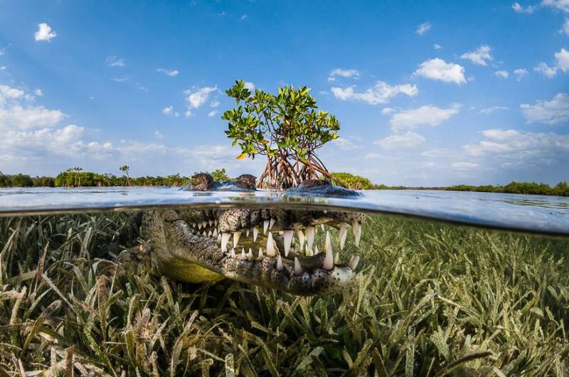 best-travel-photography-winners-siena-international-photo-awards-10