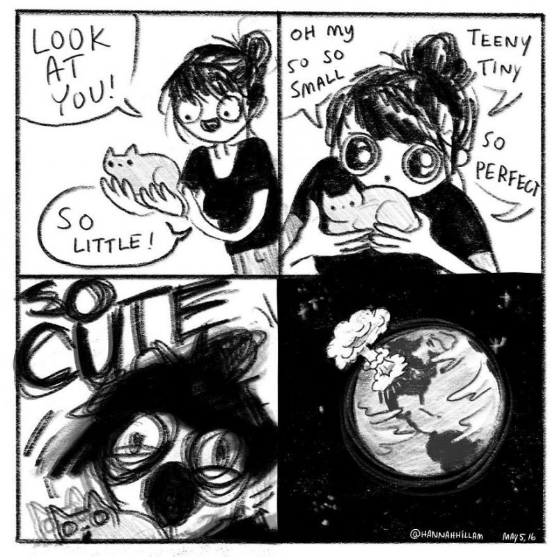 funny-cat-comics-illustrations-3