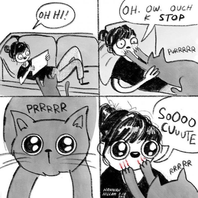 funny-cat-comics-illustrations-7