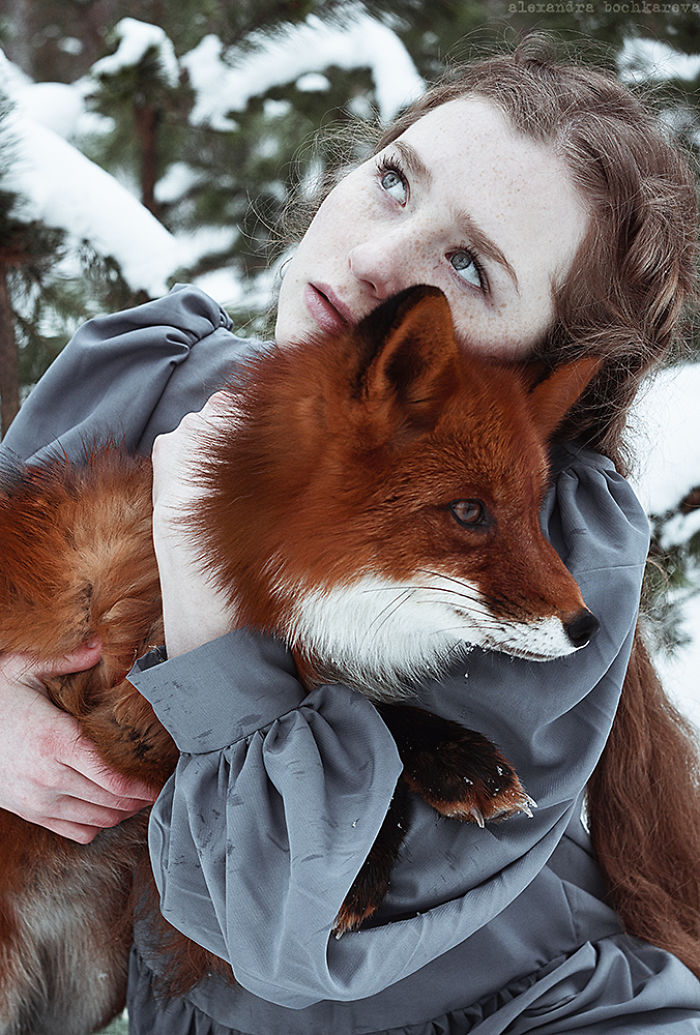 Fairy-tale photographs of redhead and red fox – Vuing.com