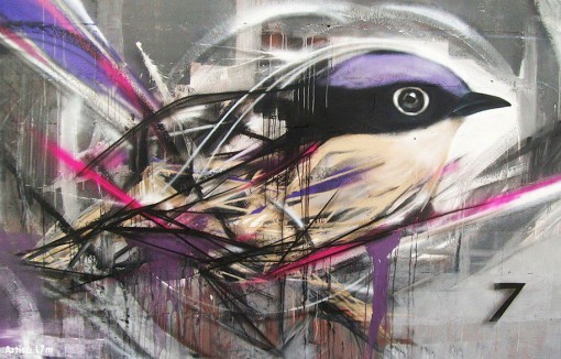 Impressive graffiti birds by a young Brazilian artist – Vuing.com