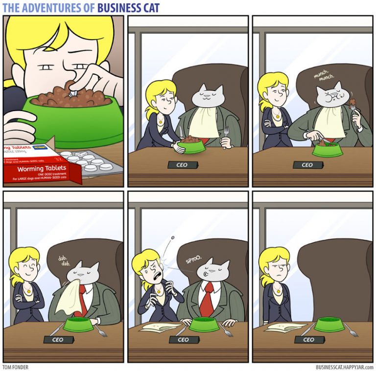 Funny web comics depicting a CEO cat – Vuing.com